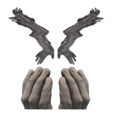 It Has Wings